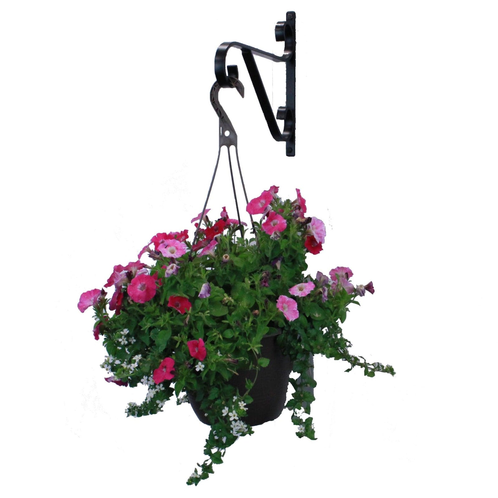 Artisan Decorative Forged Plant Hanger Hook with Ornate Scrolls (Set of 2) Black