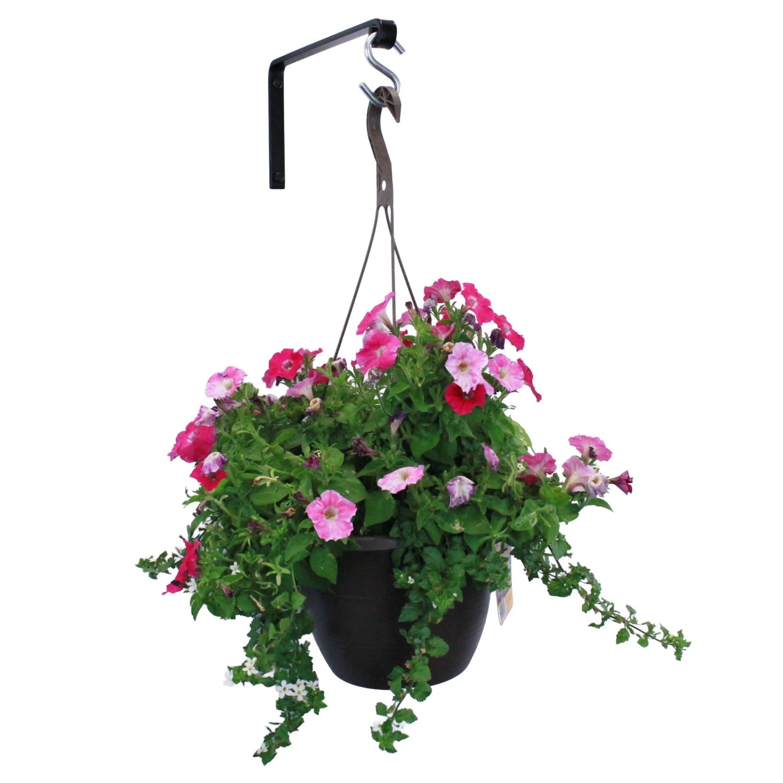 Enclume Design Products Artisan Forged Plant Hanger Wall Shelf Bracket Hook Small (Set of 2) Black