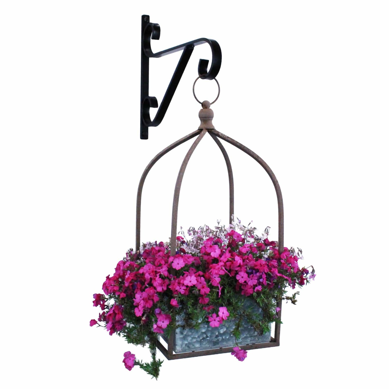 Artisan Decorative Forged Plant Hanger Hook with Ornate Scrolls (Set of 2) Black