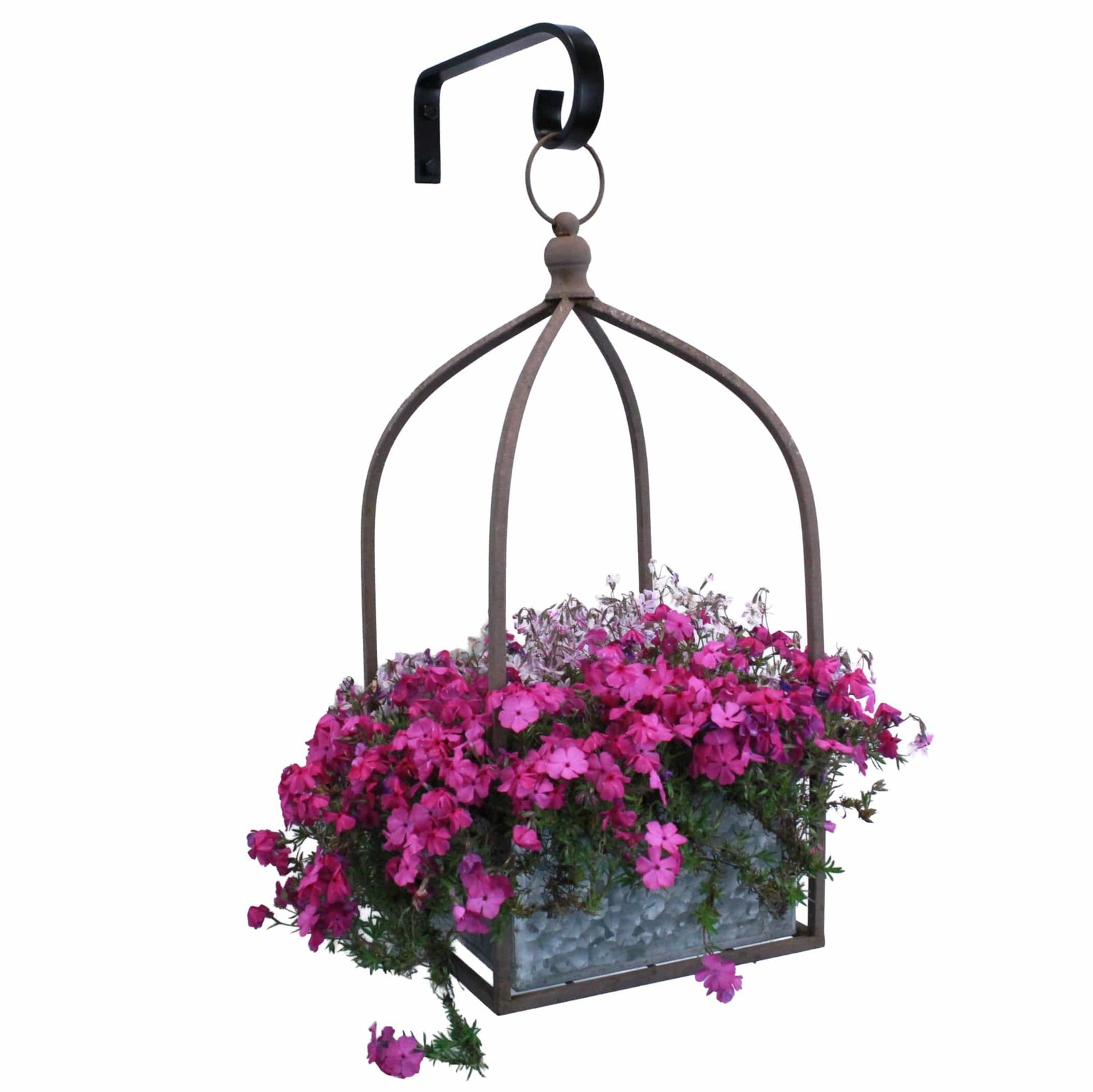 Artisan Decorative Forged Plant Hanger Hook with Simple Scroll (Set of 2) Black