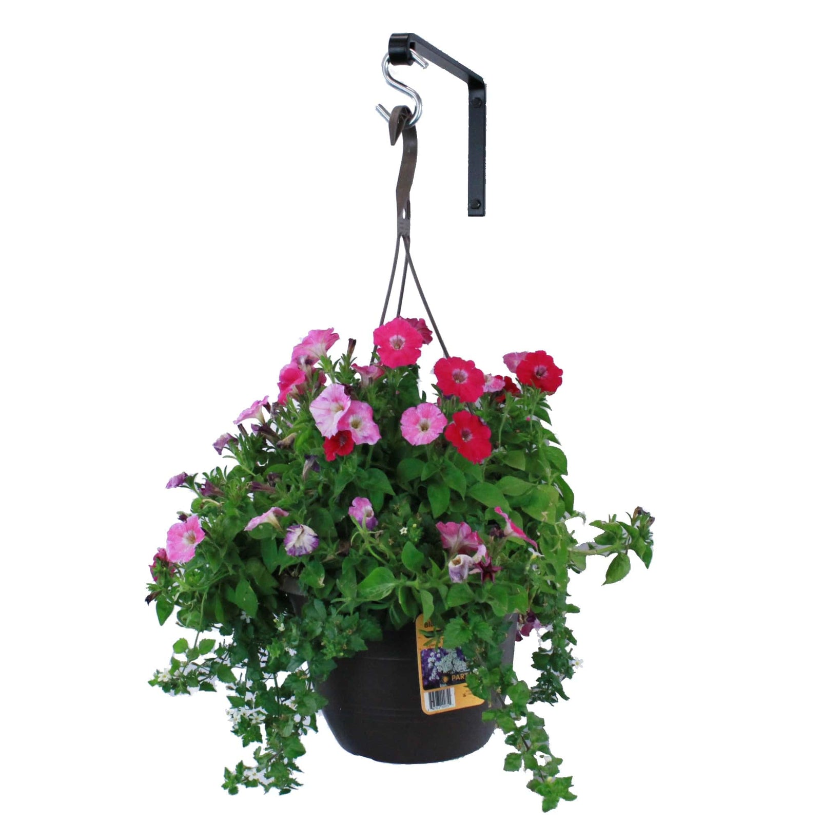 Artisan Forged Plant Hanger Wall Shelf Bracket Hook Small (Set of 2) Black